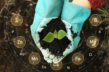 Farmer holding young plant and heap of soil with specified components outdoors, top view - obrazy, fototapety, plakaty