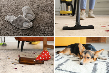 Collage with clean and dirty carpets
