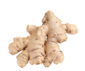 Fresh ginger on white background
