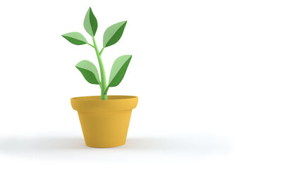 a plant in a yellow flower pot on a white background