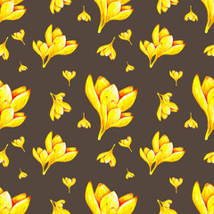 Hand drawn watercolor seamless floral pattern with yellow orange ochre crocus saffron flowers 3016