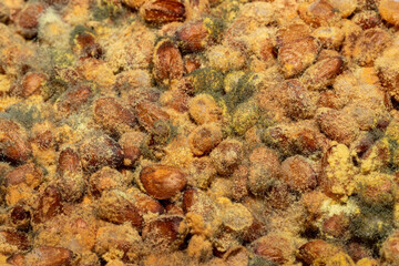 Background of moldy pine nuts top view. 