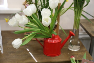 Tulips and watering can