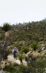 Obraz premium young sportsman practicing mountain bike