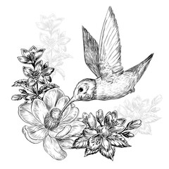 Hand drawn sketch illustration with hummingbird bird and beautiful flowers on white background © Lucky Project