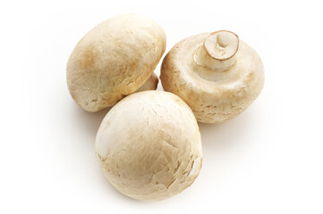 Champignon mushrooms on white
