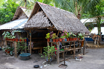 Fototapeta na wymiar Rustic wooden hut in traditional asian village. Native lifestyle travel photo. Traditional lifestyle of fishermen on sea shore. South Asia indigenous people living. Palm leaf house with flower pots