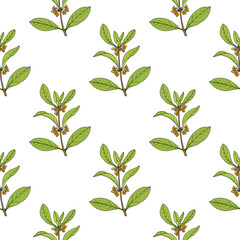 Seamless pattern with sweet osmanthus,