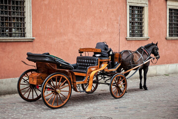 Fototapeta na wymiar A horse-drawn carriage in Warsaw
