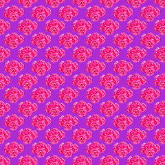 Background pattern of geranium flowers