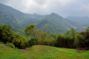 Fototapeta na wymiar Mountain landscape View Resort.in the Meiyuan Village, Miaoli County,Taiwan.