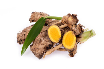 ฺZingiber montanum or phlai rhizome and green leaf isolated on white background.