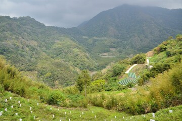 Mountain landscape View Resort.in the Meiyuan Village, Miaoli County,Taiwan.