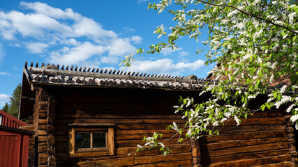 Lulea, Hagnan, wooden house in spring