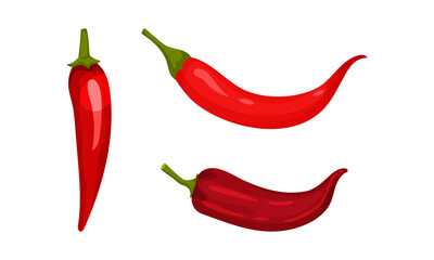 Red Pepper as Ripe Vegetable and Organic Food Vector Set