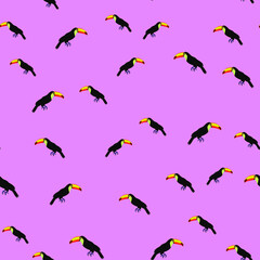 Tropical pattern. Pattern of tropical birds toucans. Exotic seamless background.