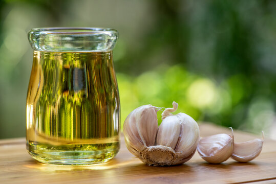 Garlic or Allium sativum and extracted oil on nature background.