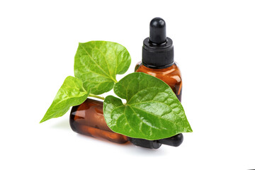 Houttuynia cordata or Plu Kaow branch green leaves and extracted in the bottle isolated on white background.