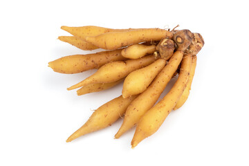 Fingerroot or Galingale rhizome isolated on white background.top view,flat lay.