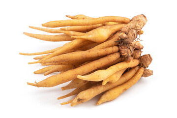 Fingerroot or Galingale rhizome isolated on white background.