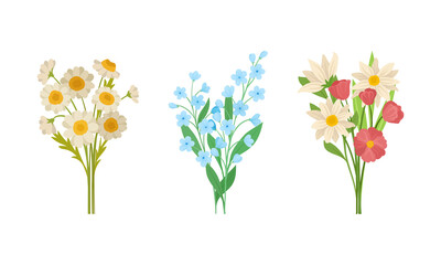 Bunch of Spring Flowers with Fragrant Blossom on Green Stem Vector Set