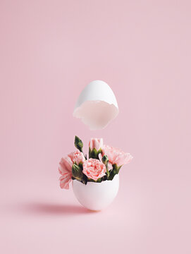 Spring pink flowers popping out of cracked eggshell against pastel pink background. Easter minimal conceptual layout. Creative Happy Easter, spring or summer, food greeting card.