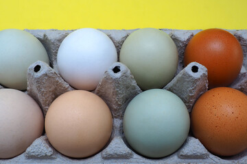 Eggs of domestic hens of different colors in a package. An ecological product.
