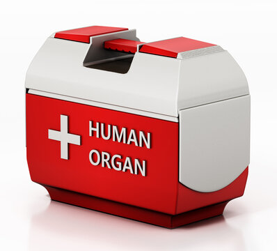 Human Organ Transport Box Isolated On White Background. 3D Illustration