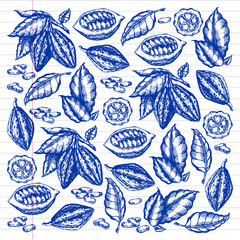 Cocoa beans illustration. Engraved style, illustration, drawn by pen . Chocolate cocoa beans. Vector pattern illustration