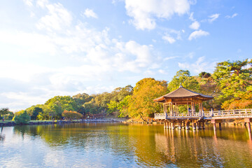 Fototapeta na wymiar Yoshikien park, a Japanese garden in Nara park.