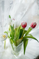 tulips in vase