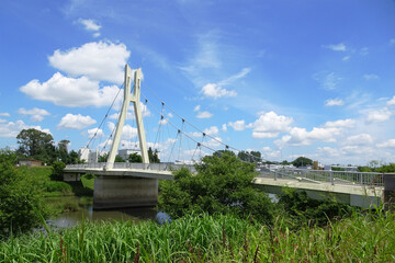 中川の外野橋／県営権現堂公園（埼玉県幸手市）