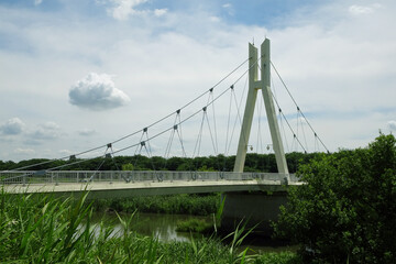 中川の外野橋をアップ／県営権現堂公園（埼玉県幸手市）