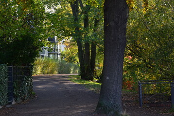 Herbst im Park am Fluss Spree, Halbinsel Stralau, Berlin 