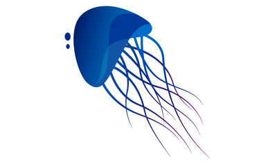 Jellyfish © Sardor