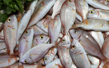 coral fish in the fish market