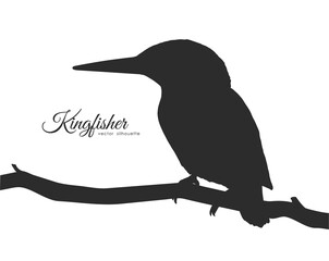 Silhouette of Kingfisher sitting on a dry branch.