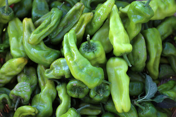 FRESH ORGANIC GREEN PEPPER BACKGROUND