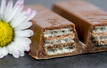 Schokokeks in Nahaufnahme mit Blüte
