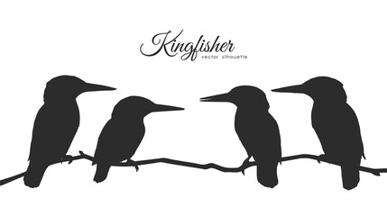 Vector silhouette of a flock of kingfishers sitting on a dry branch.