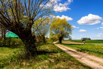 Fototapeta premium Wiosna na Podlasiu, Polska
