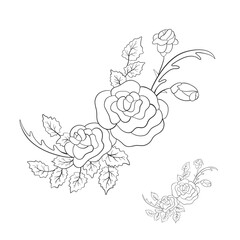 Beautiful summer line pattern of flowers. Decoration from roses on a white background. Fashion in a vector illustration