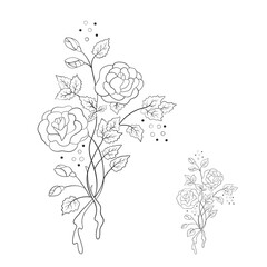 Beautiful summer line pattern of flowers. Decoration from roses on a white background. Fashion in a vector illustration