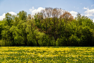 Wiosna na Podlasiu, Polska