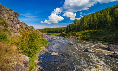 Fast river with rocky banks, overgrown with trees in summer