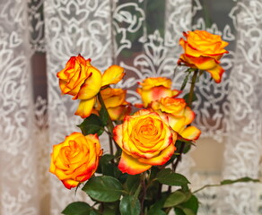 Yellow-orange roses in a bouquet closeup