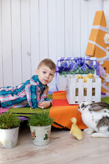 a boy in a good mood plays with an Easter bunny and little yellow ducklings, joy on the baby's face