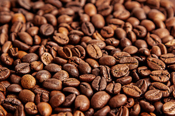 coffee beans