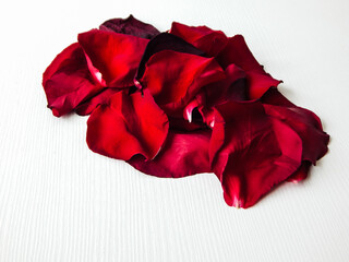 rose petals on a light background