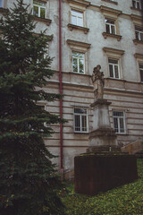 Old statue in front of The Higher Theological Seminary in Przemysl, Poland. Wyzsze Seminarium Duchowne w Przemyslu. Ancient sculpture in front of the house near coniferous tree.